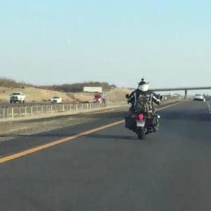 Meet your Posher, Alfonso